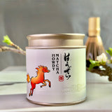 Year of the Horse